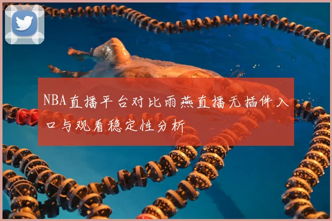NBA直播平台对比雨燕直播无插件入口与观看稳定性分析